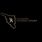 Asociacón de Dodgeball de Sonora
