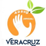 Asociación de Dodgeball de Veracruz